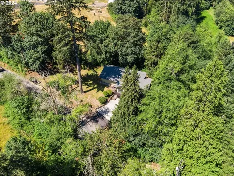 41607 Ne 12th Avenue Woodland WA 98674