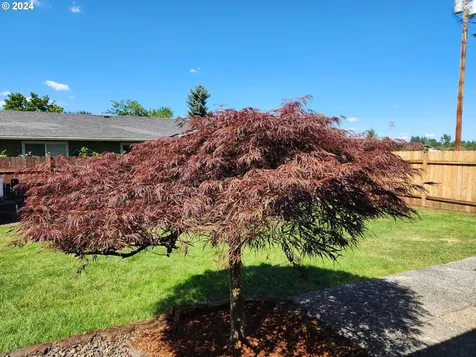 128 Dixon Avenue Molalla OR 97038