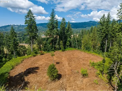 1919 Nw Hayes Road Woodland WA 98674