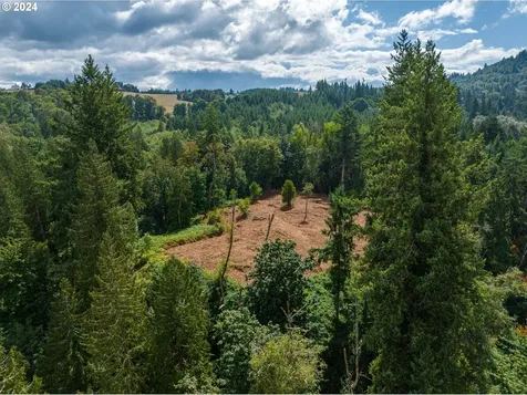 1919 Nw Hayes Road Woodland WA 98674