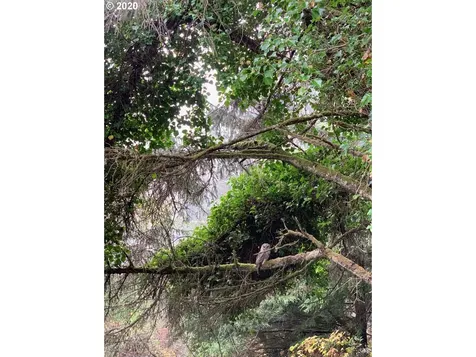 2900 SW Anchor Avenue Parcel 1 Lincoln City OR 97367