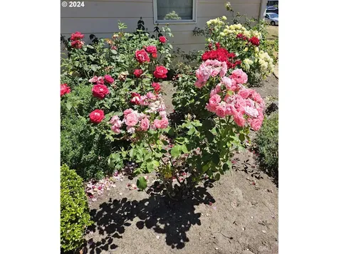 3278 Marvin Drive Eugene OR 97404