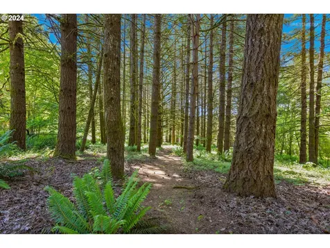 45640 Nw David Hill Road Forest Grove OR 97116