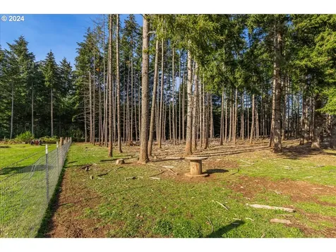 39909 SE Kitzmiller Road Eagle Creek OR 97022
