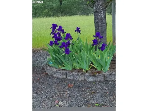 7692 North Bank Road Roseburg OR 97470