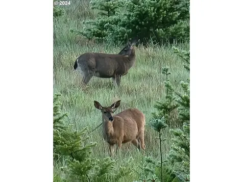 33201 SE Highway 224 Estacada OR 97023