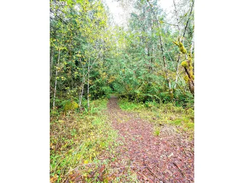 231 Alpha Way Onalaska WA 98570