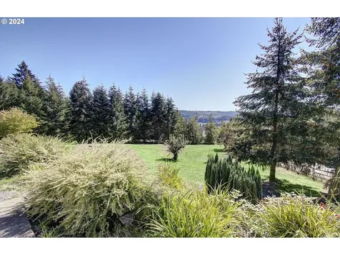160 Melba Lane Woodland WA 98674