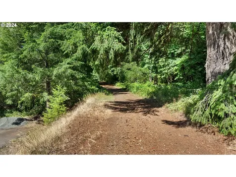 91220 Poodle Creek Road Noti OR 97461