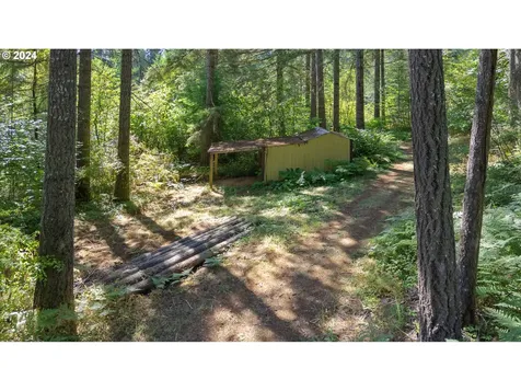 91220 Poodle Creek Road Noti OR 97461