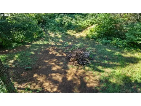 91220 Poodle Creek Road Noti OR 97461
