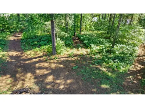 91220 Poodle Creek Road Noti OR 97461