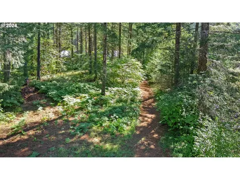 91220 Poodle Creek Road Noti OR 97461