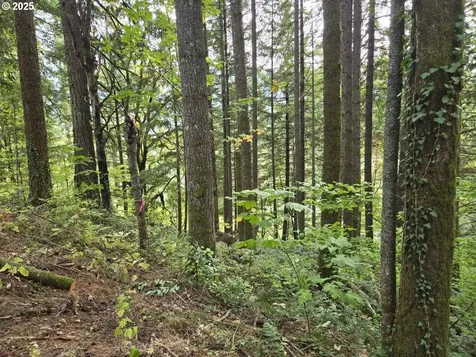 1225 SW Ryan Allen Road Stevenson WA 98648
