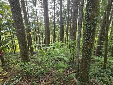 1225 SW Ryan Allen Road Stevenson WA 98648