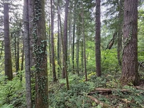1225 SW Ryan Allen Road Stevenson WA 98648