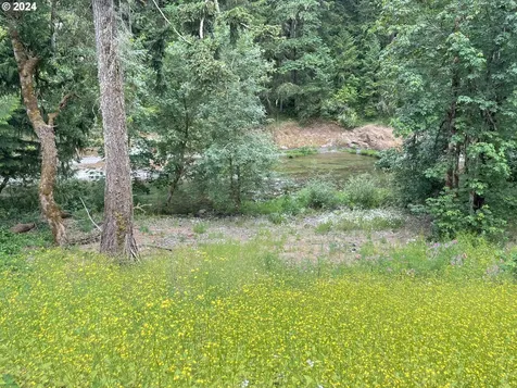 37674 Row River Road Dorena OR 97434