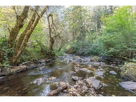 409 Spruce Creek Road Longview WA 98632