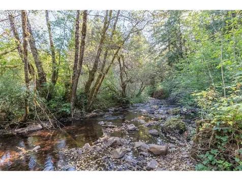 409 Spruce Creek Road Longview WA 98632