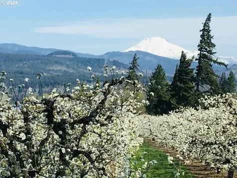 2500 Belmont Drive Hood River OR 97031