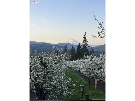 2500 Belmont Drive Hood River OR 97031