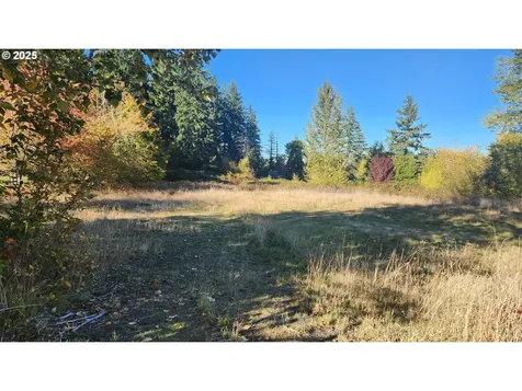 202 NW 179th Street Ridgefield WA 98642