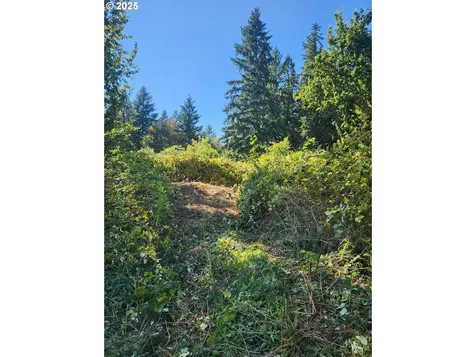 202 NW 179th Street Ridgefield WA 98642