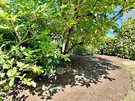 3284 5th Street Hubbard OR 97032