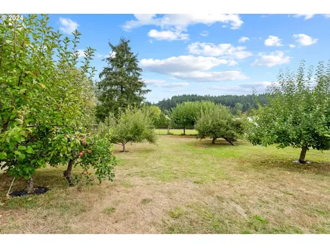 14917 Ne 319th Street Battle Ground WA 98604
