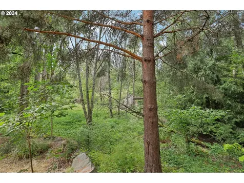 2413 Nw Byrne Terrace Portland OR 97229