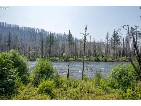 50069 Mckenzie Highway Vida OR 97488