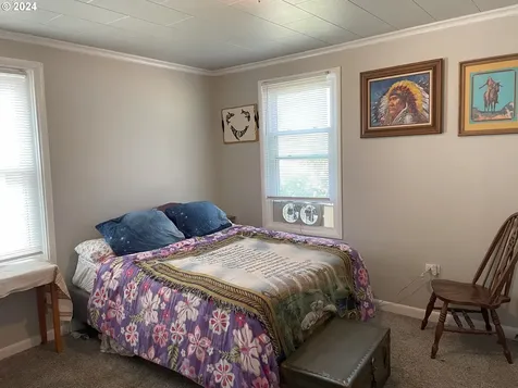 209 Monroe Street Ryderwood WA 98581