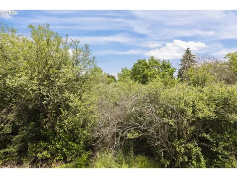 1436 S Heather Street Cornelius OR 97113