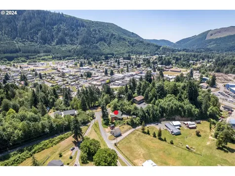 195 Tilton View Road Morton WA 98356