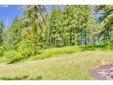 86585 Bailey Hill Road Eugene OR 97405