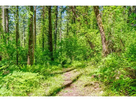 86585 Bailey Hill Road Eugene OR 97405