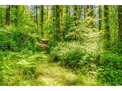 86585 Bailey Hill Road Eugene OR 97405