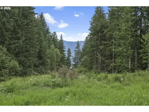 1681 Kanaka Creek Road Stevenson WA 98648