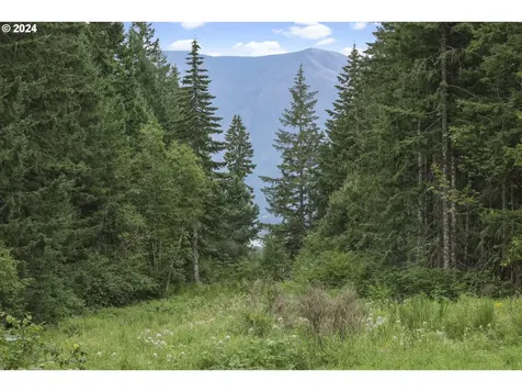 1681 Kanaka Creek Road Stevenson WA 98648