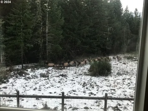 1681 Kanaka Creek Road Stevenson WA 98648
