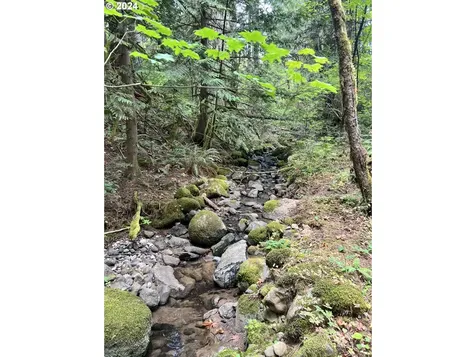1681 Kanaka Creek Road Stevenson WA 98648