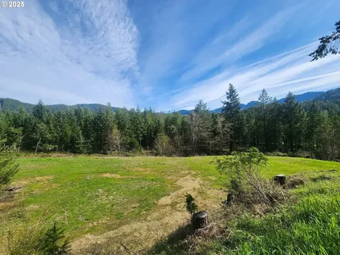 6228 Upper Cow Creek Road Azalea OR 97410