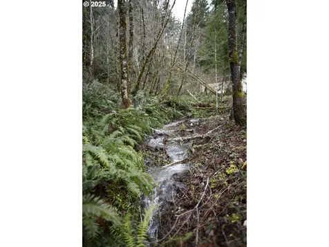 6228 Upper Cow Creek Road Azalea OR 97410