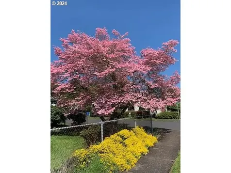 8633 NE Milton Street Portland OR 97220