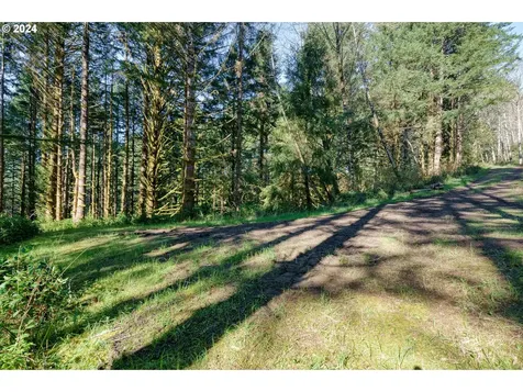 95748 Cape Ferrelo Road Brookings OR 97415