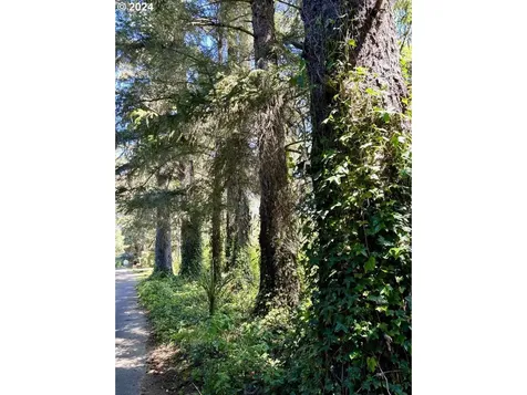 15532 Oceanview Drive Brookings OR 97415
