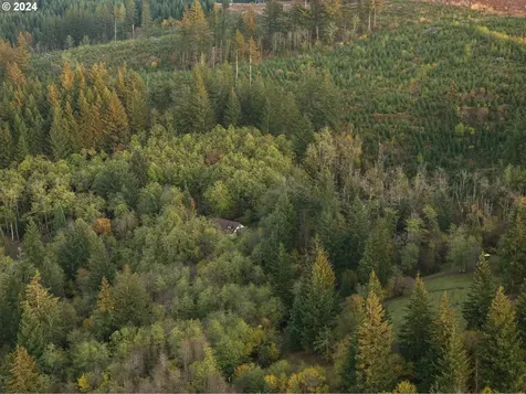 4801 NE Boulder Creek Road Camas WA 98607