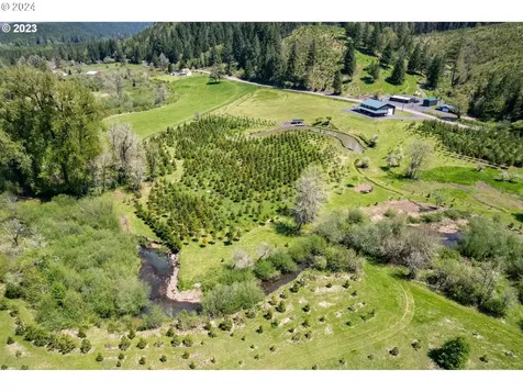 42361 Upper Berlin Drive Lebanon OR 97355