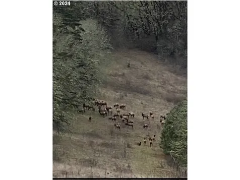 15820 SW Dusty Drive Mcminnville OR 97128