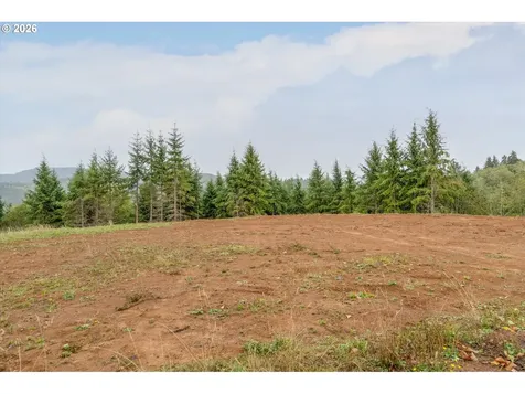 307 Greenwood Road Cathlamet WA 98612